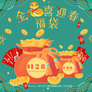 2025 Snake Year Lucky Bag 金蛇福袋