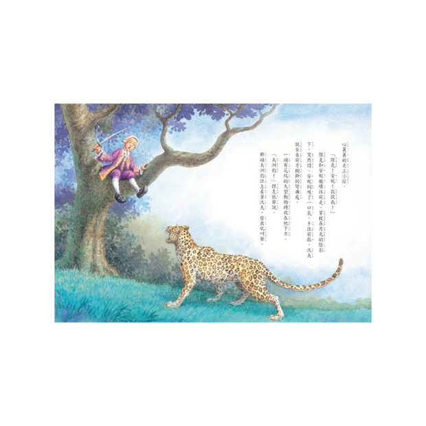 Magic Tree House Boxset Collection 6 神奇樹屋系列套書6 - 中英雙語（41-48集，附書盒）